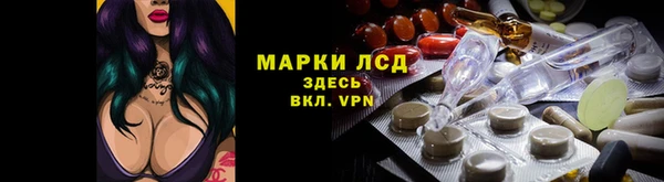 ГАЛЛЮЦИНОГЕННЫЕ ГРИБЫ Баксан