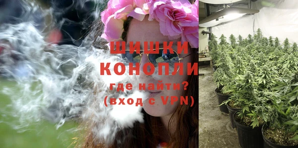 ГАЛЛЮЦИНОГЕННЫЕ ГРИБЫ Баксан