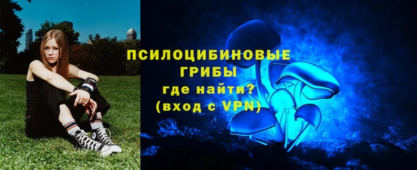 ГАЛЛЮЦИНОГЕННЫЕ ГРИБЫ Баксан